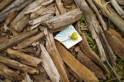 Grandes por naturaleza