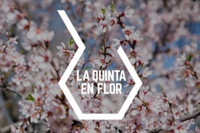 La quinta en flor