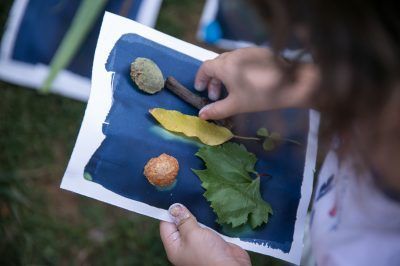 Ecosistema bosque: vida en la tribu