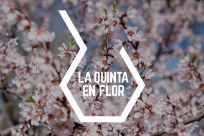 La Quinta en Flor. Hanami: flores, haikus y circo