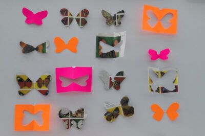 Ciclos