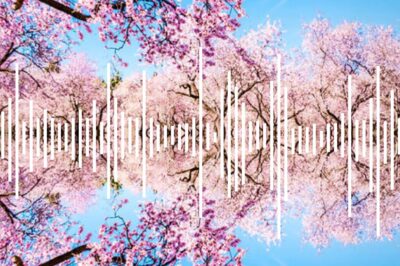Paisaje sonoro de primavera