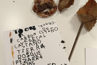 Tintas y taninos