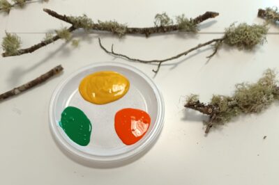 Arte liquénico