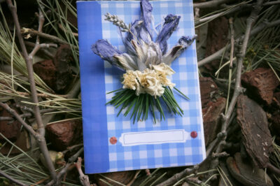 Cuaderno de invierno. Sesión escolar
