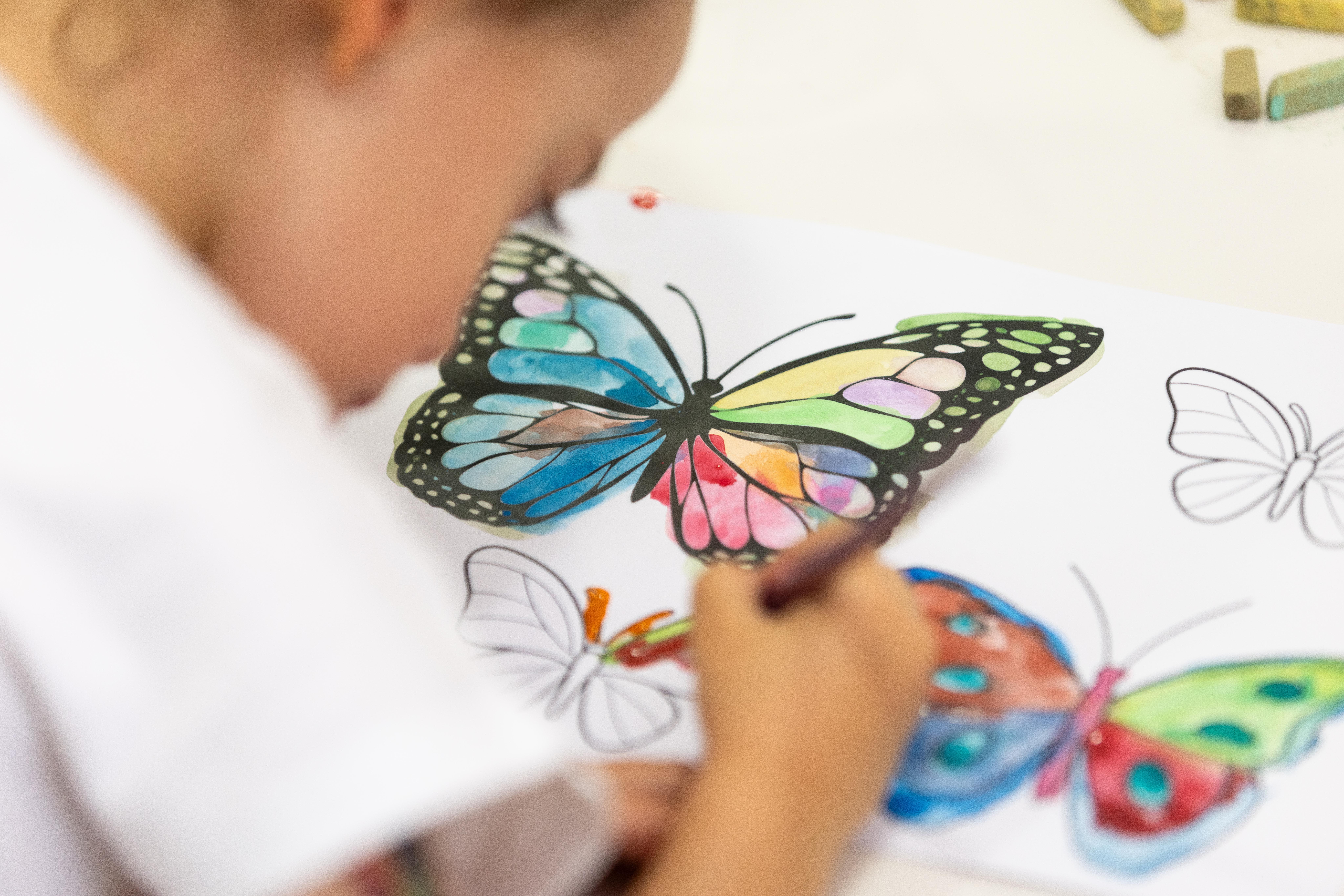 Mariposas: el poder de lo invisible