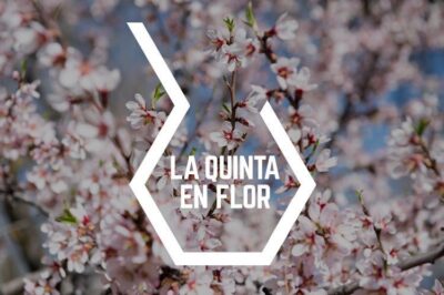 La quinta en flor
