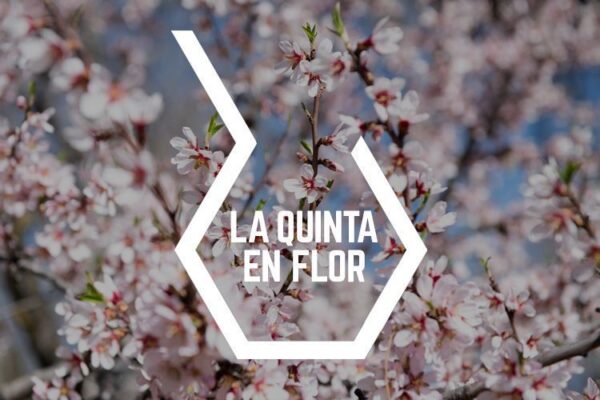 La quinta en flor