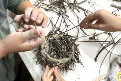 Taller de creación de nidos del mito